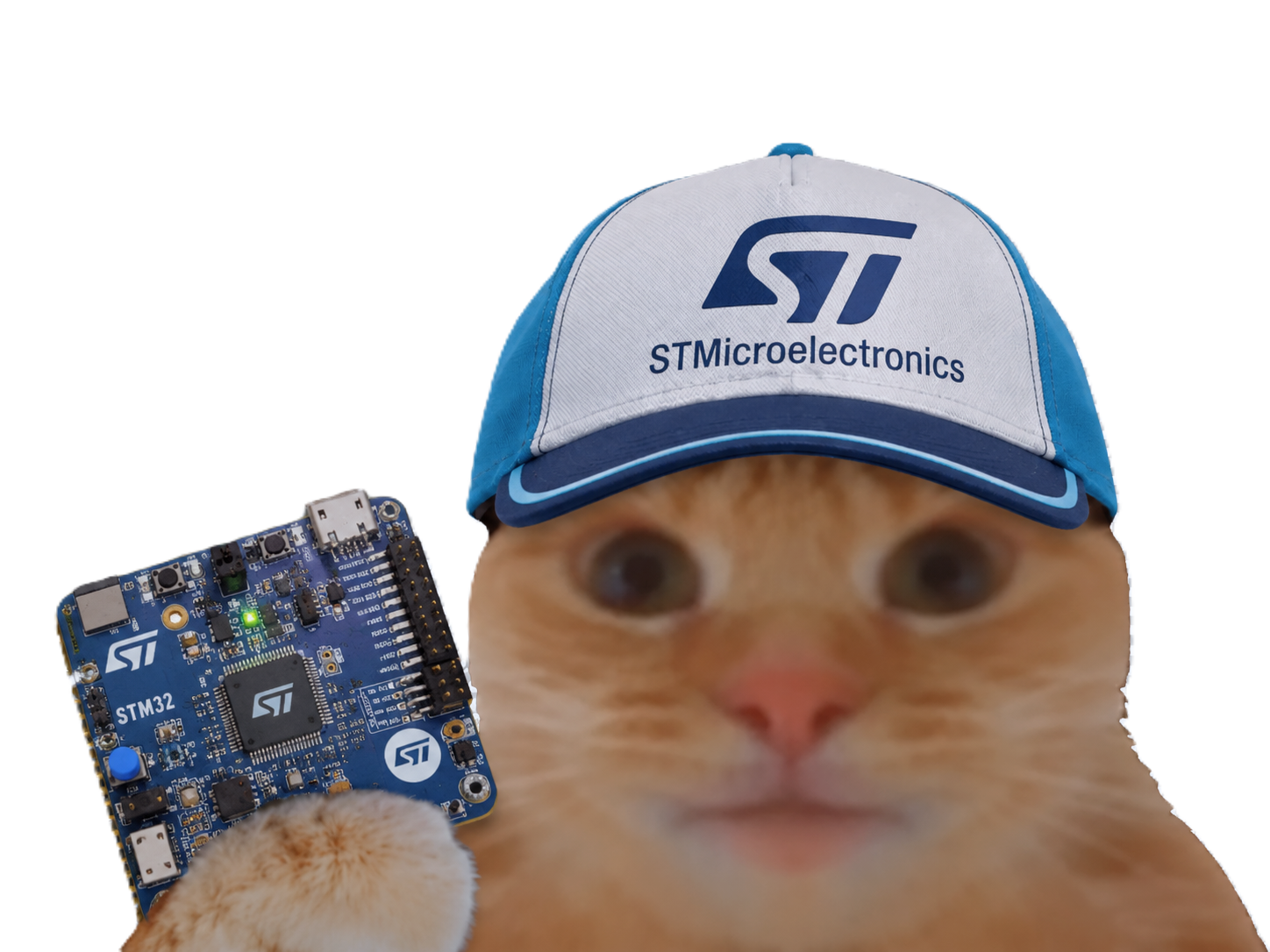 Sticker chat casquette bourse datacenter semiconductors fiston laverited stmicro st micro stmicroelectronics par Percevalois