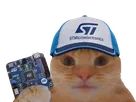 chat casquette bourse datacenter semiconductors fiston laverited stmicro st micro stmicroelectronics