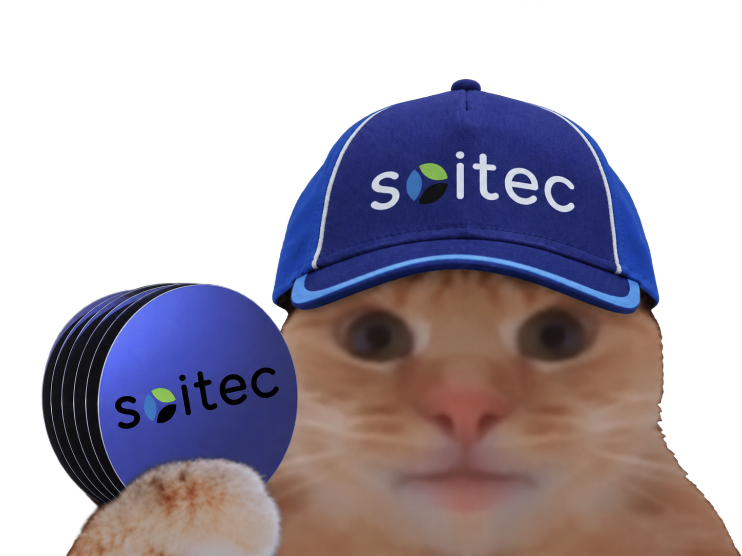 Sticker chat casquette bourse datacenter semiconductors fiston laverited soitec semi conducteur wafer par Percevalois