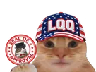 chat casquette bourse datacenter fiston laverited lqq usa magean amundi etf nasdaq 100