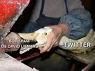 bot spam david lisnard election presidentielle 2027 gavage oie canard x twitter propagande cope delu
