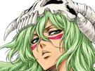 nelliel tu odelschwanck nell bleach cheveux vert yeux jaune masque arrancar fic bloop