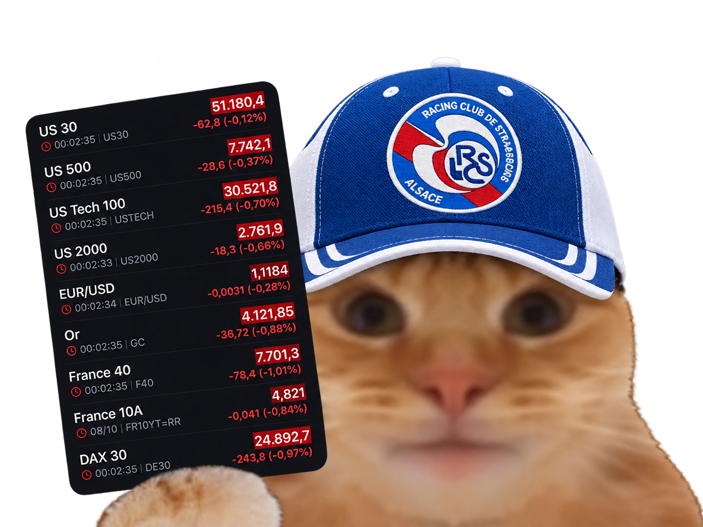 Sticker zbeboverissou chat fiston casquette futures bourse minuit laverited rouge par Percevalois