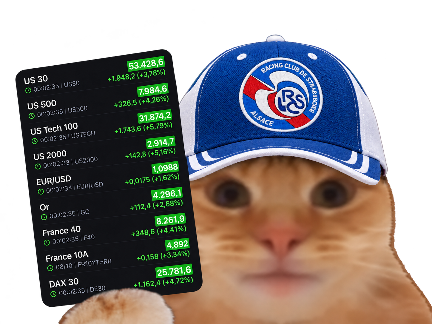 Sticker chat fiston laverited green vert futures minuit zbeboverissou casquette par Percevalois