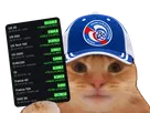 chat fiston laverited green vert futures minuit zbeboverissou casquette