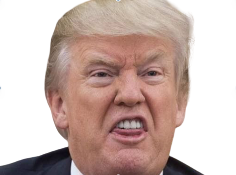 Sticker trump donald president grimace langue usa us etatsunis amerique chef make america great again serpent par XDREAD