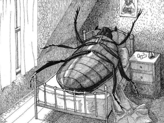Sticker la metamorphose franz kafka recit litterature litteraire livre insecte transformation gregor samsa lit triste knifos par Knifos