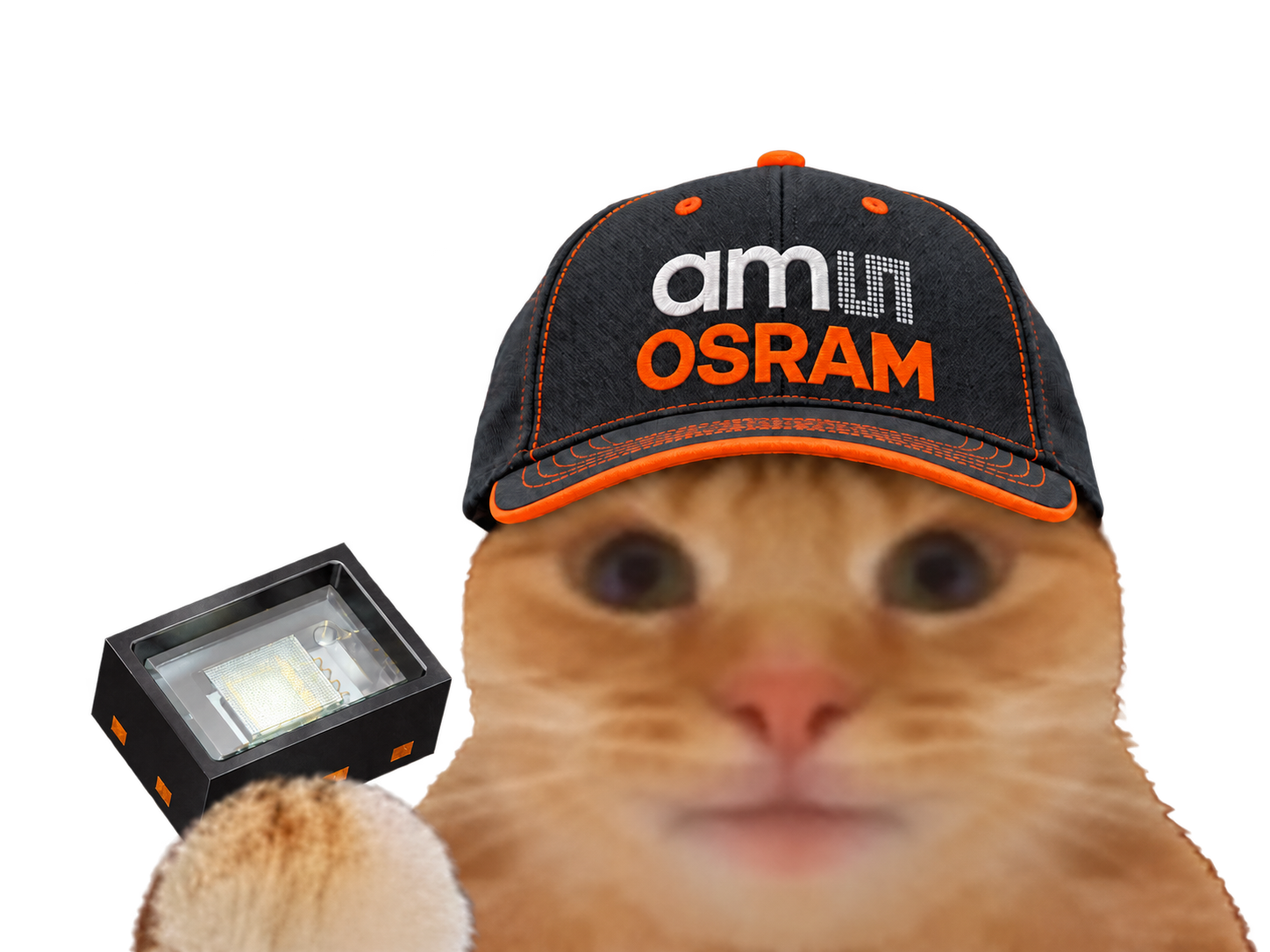 Sticker chat casquette fiston laverited datacenter bourse vcsel ams osram par Percevalois
