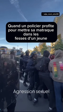 Sticker acab ripou 17 crs gend riot 135 keuf pig chicken pn gpx bridou salami fdo par glandilus