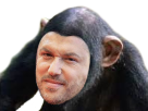 Sticker mosimann starac singe issou par PunaiseDeForum
