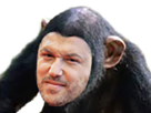 mosimann starac singe issou