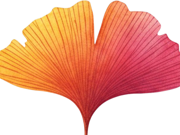 Sticker gingko rouge feuille amanda fic bloop par Bl0op