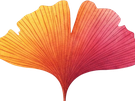gingko rouge feuille amanda fic bloop