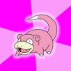 template meme slowpoke ramoloco pokemon lent comprend pas lag retard idiot tard reaction tardive pas compris rose humour