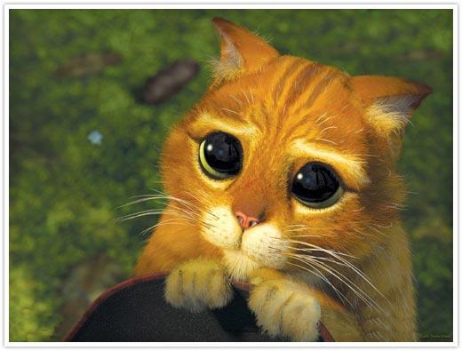 Sticker template meme shrek cat chat potte puss in boots yeux de chat supplie mignon implore pitie regard triste chaton imploration pitoyable humour par risibot