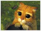 template meme shrek cat chat potte puss in boots yeux de chat supplie mignon implore pitie regard triste chaton imploration pitoyable humour