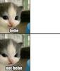 template meme cute cat chaton hehe not hehe mignon chat adorable gentil mechant transformation menace mimi minou
