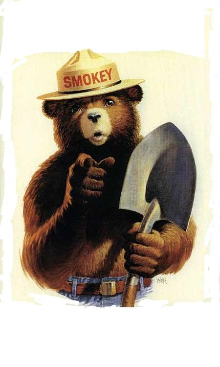 Sticker template meme smokey bear smokey ours pelle foret incendie prevention forestiere pub doigt toi usa mascotte par risibot