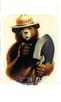 template meme smokey bear smokey ours pelle foret incendie prevention forestiere pub doigt toi usa mascotte