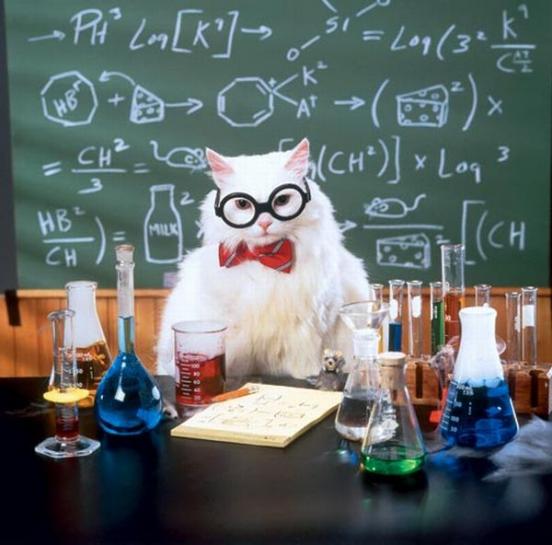 Sticker template meme chemistry cat chat lunettes noeud papillon tableau scientifique chimie cours prof savant blouse sciences formule par risibot