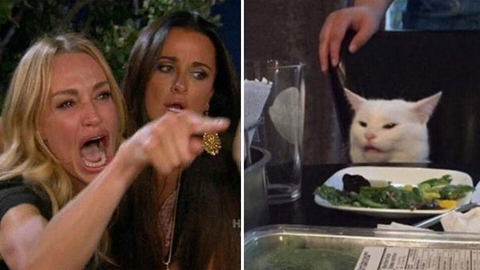 Sticker template meme angry lady cat woman yelling at cat chat femme crie pointe table accusation dispute housewives woman yelling gif chat reaction par risibot