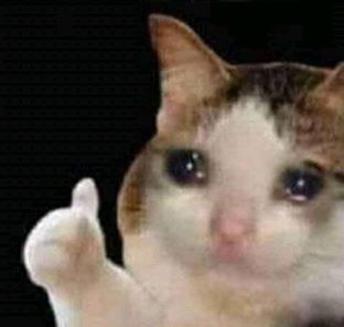 Sticker template meme sad thumbs up cat chat triste pouce leve larmes pleure chat qui pleure ca va aller faux sourire depression deprime courage mouille emotion par risibot