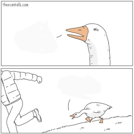 Sticker template meme angry goose oie en colere oie attaque cri course poursuite animal furieux agressif they can talk bande dessinee fuite poursuivi par risibot