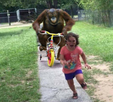 template meme run courir fuite singe velo petite fille poursuite orang outan enfant panique cours chasse reaction