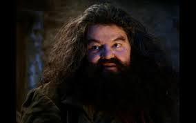 Sticker template meme hagrid yer a wizard harry potter tu es un sorcier harry sorcier revelation magie poudlard geant annonce reaction drole par risibot