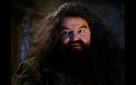 template meme hagrid yer a wizard harry potter tu es un sorcier harry sorcier revelation magie poudlard geant annonce reaction drole