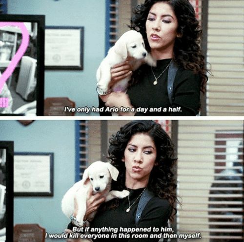 Sticker template meme arlo chien chiot brooklyn nine nine rosa diaz amour chien protectrice tuer tout le monde serie attachement reaction drole humour par risibot