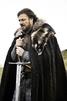 template meme brace yourself ned stark game of thrones winter is coming epee prepare toi arrive attention danger bientot sean bean reaction drole