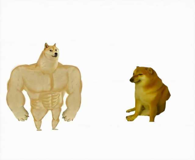 Sticker template meme strong dog vs weak dog swole doge cheems chien fort faible shiba muscle comparaison avant apres musclor toutou strong par risibot
