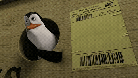 Sticker template meme gif animation penguin pinguoin manchot madagascar pingouins etiquette colis livraison adresse pointe signale par risibot