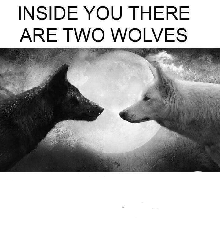 Sticker template meme inside you two wolves deux loups loup bien mal interieur combat noir blanc sagesse proverbe animal par risibot