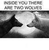 template meme inside you two wolves deux loups loup bien mal interieur combat noir blanc sagesse proverbe animal