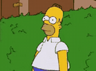 template meme gif animation homer simpsons buisson haie disparait fuite honte retraite cache tranquille homer disappears into bush