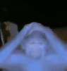 template meme gif animation singe confus monkey perplexe mains sur la tete incomprehension panique stupeur blague confused monkey singe perdu