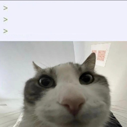 Sticker template meme chat regard camera curiosite oeil gros plan vue de l interieur observe nez espion cat looks inside chat curieux curieux par risibot