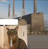 template meme usine chat cravate cheminee longue journee travail fatigue boulot fumee patron pollution reaction
