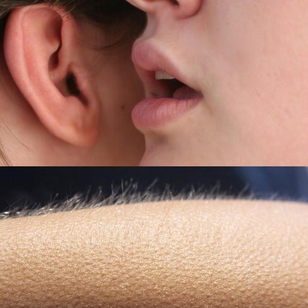 Sticker template meme whisper and goosebumps chuchoter oreille chair de poule frisson asmr voix murmure peau excitation fremir reaction drole par risibot