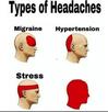 template meme types of headaches maux de tete migraine hypertension stress tete rouge douleur cerveau types classement reaction drole