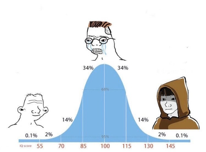 Sticker template meme bell curve courbe de gauss qi intelligence wojak milieu extremes midwit hood smart normie reaction drole par risibot