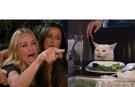 template meme woman yelling at cat chat femme crie dispute table salade confus housewives engueulade colere accusation reaction