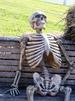 template meme waiting skeleton squelette attendre attente banc mort ennui longtemps patience toujours pas boomer reaction drole