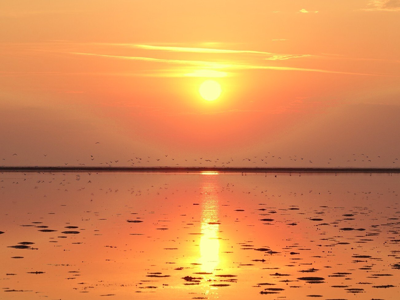 Sticker lever coucher de soleil etang lac eau beau camargue par PubliusOvidius