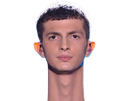 morgan starac cou diplodocus
