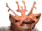 imbecile abruti cretin debile stupide con idiot risitas difforme