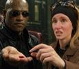 gauchiste redpill pilule rouge femme bobo lfi insoumis manifestation pillage cause