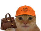 chat casquette bourse glace fiston laverited hermes birkin croute coutequecoute punaise cuir france brun marron